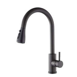 Virtuves izlietnes maisītājs ar izvelkamu izteku Aqualine Steel RV028