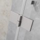 Dušas stūris pusapaļš Radaway Essenza Pro Brushed Nickel PDD 90x90 cm