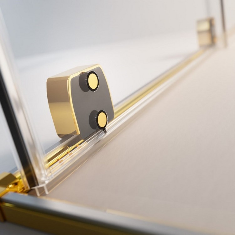 Dušas durvis bīdāmās Radaway FURO Gold DWJ 110 L/R