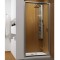 Dušas durvis Radaway Premium Plus DWJ 120cm