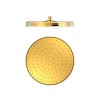 Dušas galva TRES Antilime D31 cm, 29933703OR