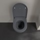 Tualetes pods piekaramais Villeroy&Boch Subway 2.0 ar Soft Close vāku, grafīts