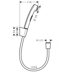 Bidetta higiēniskā rokas duša Hansgrohe ar dušas šļūteni 1250mm, 32129000
