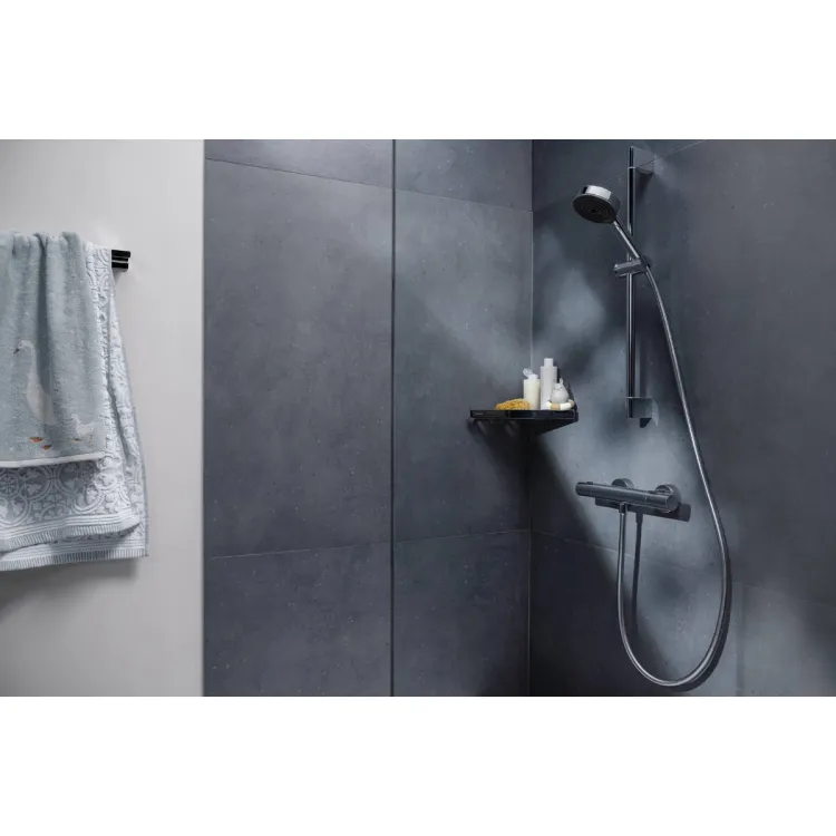 Termostata dušas maisītājs Hansgrohe Ecostat Fine, hroms 13324000