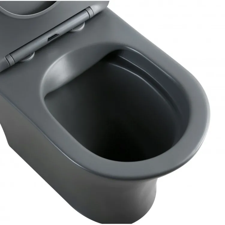 Tualetes pods Inter Ceramic Daisy Rimless ar Soft Close poda vāku, pelēks matēts