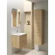 Vannas istabas skapītis izlietnei Kame GAMA 60х45cm, BU/6-3DR/35