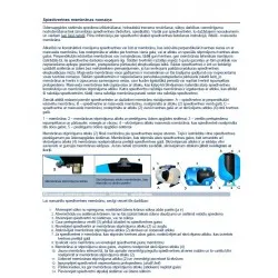 Elbi Membrāna spiedkatlam AF 150, 200L, 770066