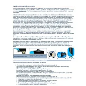 Elbi Membrāna spiedkatlam AF 150, 200L, 770066