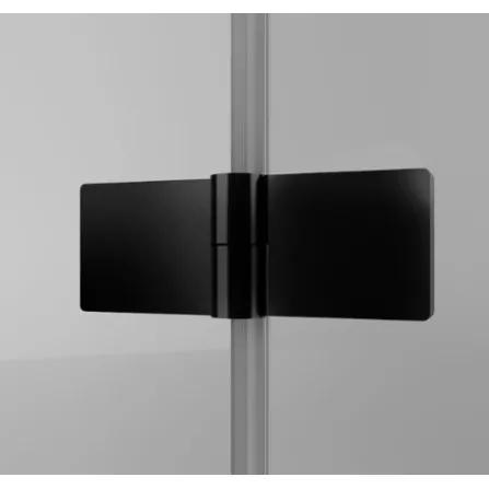 Dušas stūris kvadrātveida SanSwiss ANNEA BLACK AN13G/D 100x100cm