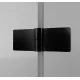 Dušas stūris kvadrātveida SanSwiss ANNEA BLACK AN13G/D 100x100cm