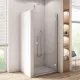 Dušas durvis SanSwiss ANNEA AN1C D 100 cm
