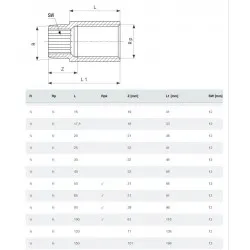 Viega Bronzas pagarinātājs 1/2x100mm